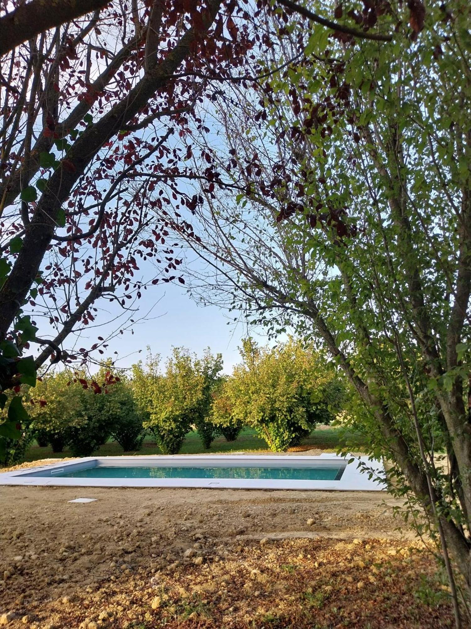 Miravigne House - Casa Di Campagna Con Cucina Castagnole delle Lanze Zewnętrze zdjęcie